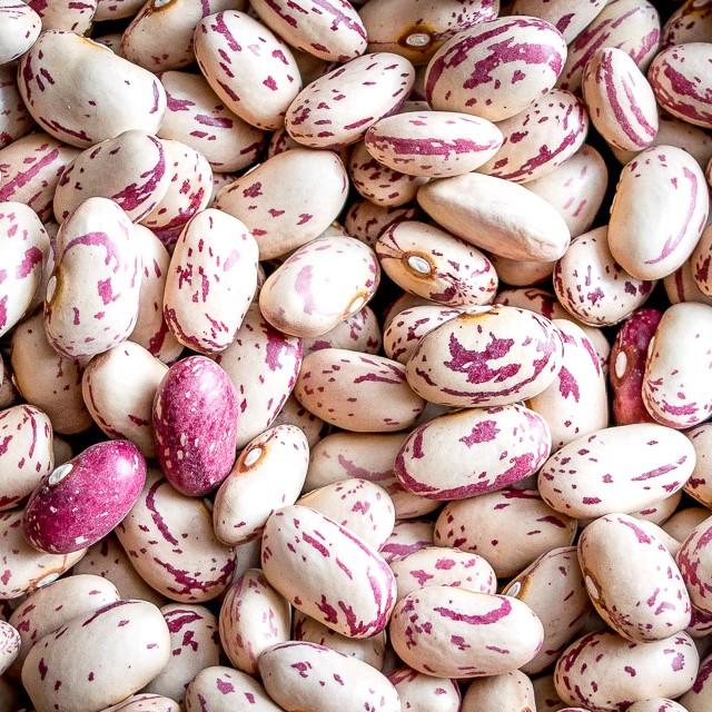 Cranberry Beans